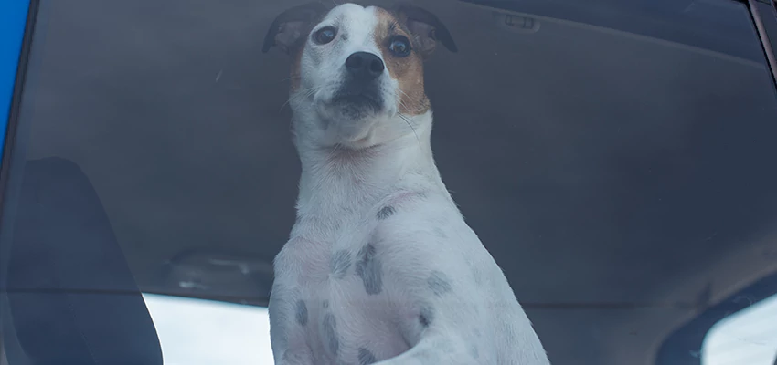 Car Lockout Solutions in Elk Grove, California